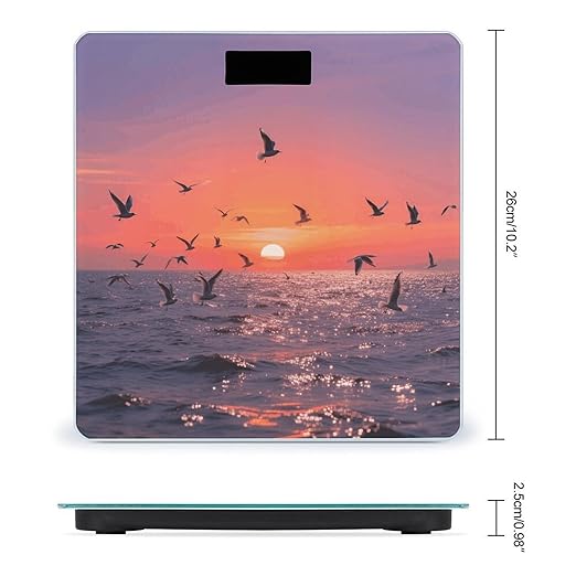 Sunset Seagulls Scale for Body Weight Sturdy Tempered Glass Weighing Scales with LCD Display Accurate Digital Bathroom Scale Convenient Body Fat Smart Scales Easy Read