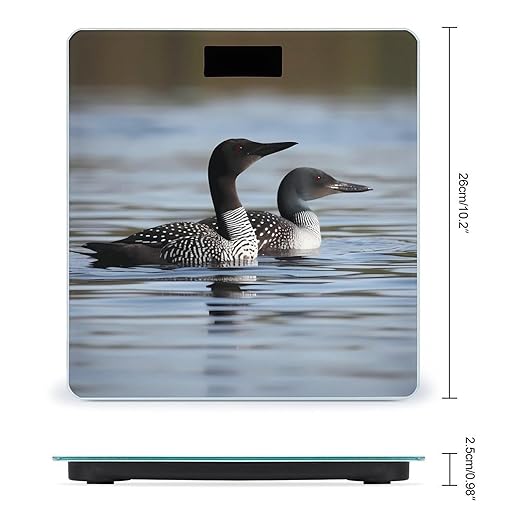 Digital Bathroom Scale for Body Weight Scale with Bright LCD Display High Accuracy Step-On Technology Auto On/Off Loon Birds Digital Scales 400 Lbs /180kg