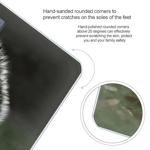 Squirrel Weight Scale for Body Weight Digital Bathroom Scale High Capacity Accurate Digital Weighing Scales and Easy-to-Read on Backlit LCD Display Scales