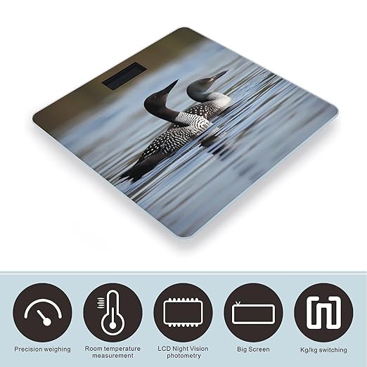 Digital Bathroom Scale for Body Weight Scale with Bright LCD Display High Accuracy Step-On Technology Auto On/Off Loon Birds Digital Scales 400 Lbs /180kg