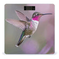 Humming Birds Scale for Body Weight Digital Bathroom Scale Toughened Glass High Precision Scales for Body Weight with Large LCD Backlight Display Weight Scales