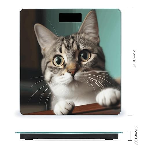 A Curious Cat Smart Scale for Body Weight Accurate Bathroom Scale with LED Display Digital Weight Scales Weighing Machine High Precision Scales for Bath Home
