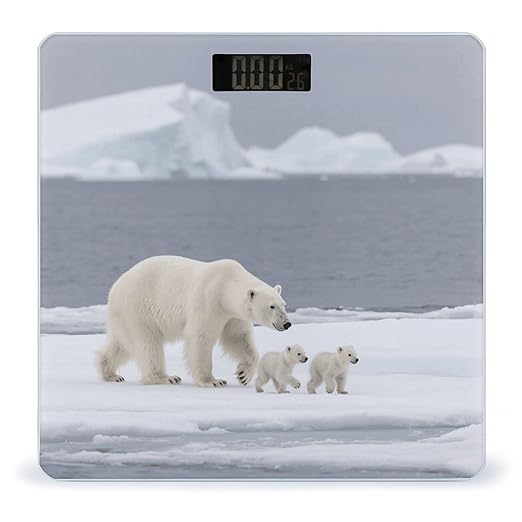 Digital Bathroom Scale for Body Weight Scale with Bright LCD Display High Accuracy Step-On Technology Auto On/Off Polar Bear Ice Floe Digital Scales 400 Lbs /180kg