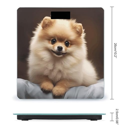Cute Pomeranian Dog Weight Scale for Body Weight Digital Bathroom Scale High Capacity Accurate Digital Weighing Scales and Easy-to-Read on Backlit LCD Display Scales