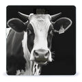 Animal Funny Cow Head Black White Bathroom Scale Automatic Power On/Off Body Scales LCD Backlight Display Square Digital Scale Rounded Corners Bathroom Scales for Home Bedrooms