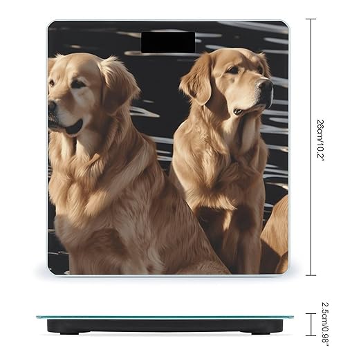 Golden Retrievers Bathroom Scale Large LCD Backlight Display Digital Scale Rounded Corners Body Scales Automatic Power On/Off Bathroom Scales for Home Bedrooms
