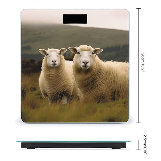 Two White Sheep Bathroom Scale Large LCD Backlight Display Digital Scale Rounded Corners Body Scales Automatic Power On/Off Bathroom Scales for Home Bedrooms