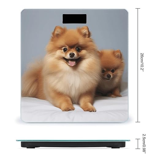 Cute Pomeranian Bathroom Scale Large LCD Backlight Display Digital Scale Rounded Corners Body Scales Automatic Power On/Off Bathroom Scales for Home Bedrooms