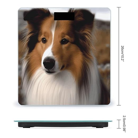 Shetland Sheepdog Bathroom Scale Large LCD Backlight Display Digital Scale Rounded Corners Body Scales Automatic Power On/Off Bathroom Scales for Home Bedrooms