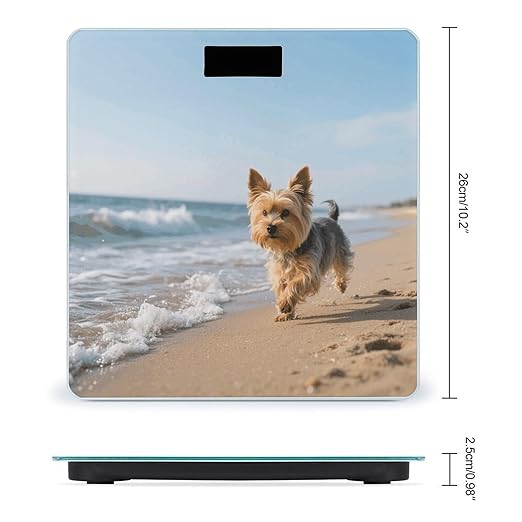 Yorkshire Terrier on Beach Weight Scale Cute Bathroom Scale for Body Highly Accurate Digital Weighing Machine for People Compact LCD Display Scales with Sturdy Toughened Glass Scales