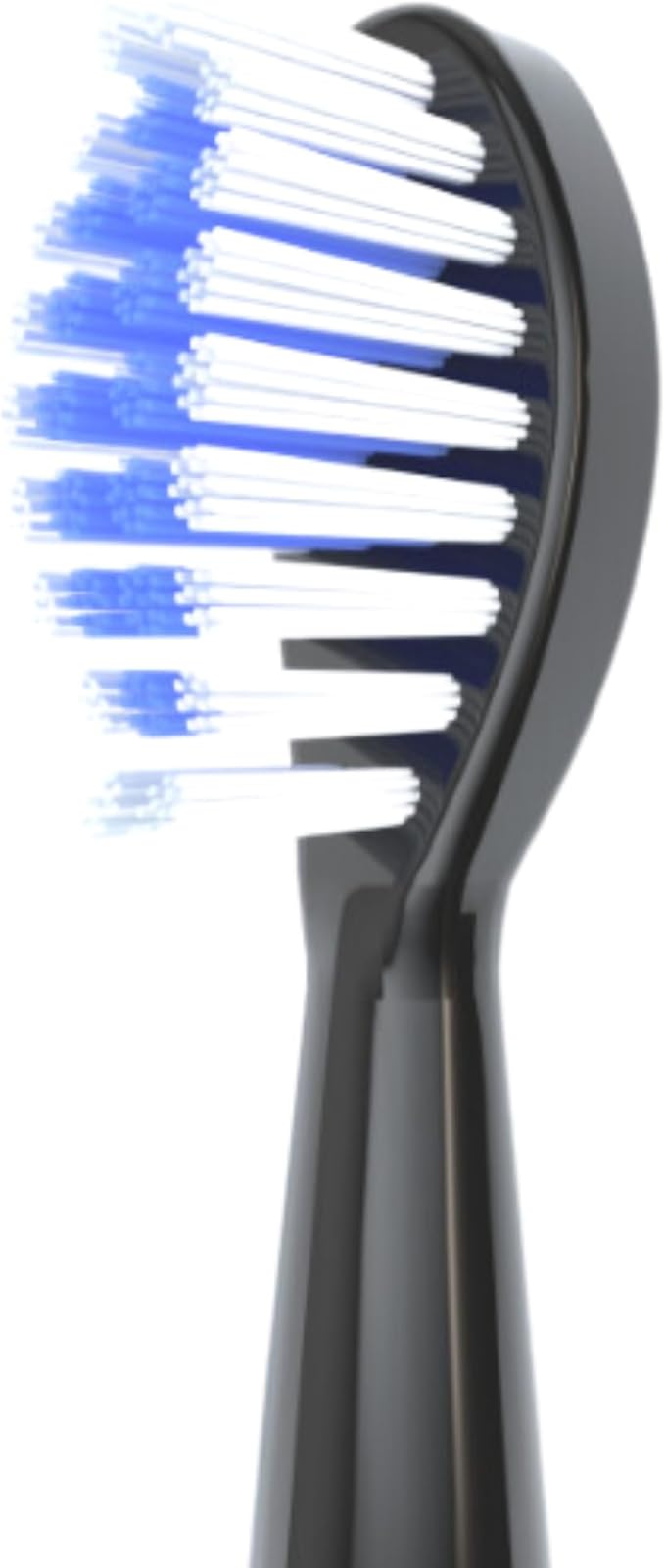 Electric Toothbrush Kit Ultra Portable &amp Lightweight with 5 Cleaning Modes 1 Year Supply of Brush Heads Rechargeable Battery Mirror Mount &amp Travel Cap Included (Black)