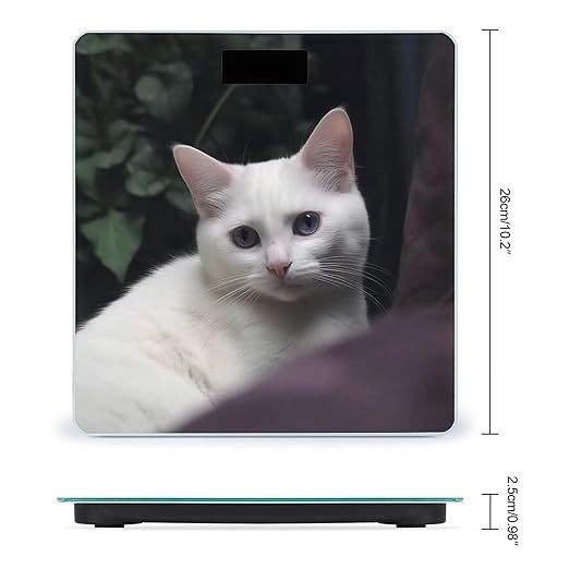 White Cat Scale for Body Weight Highly Accurate Digital Bathroom Scale Sturdy Tempered Glass Weighing Scales with LCD Display Fashion Body Fat Smart Scales 400lb