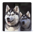 Husky Dog Weight Scale Large Bathroom Scales Digital Weight with Bright LED Display Non Slip Automatic Weighing Scale Fashion Weighing Machine for Body