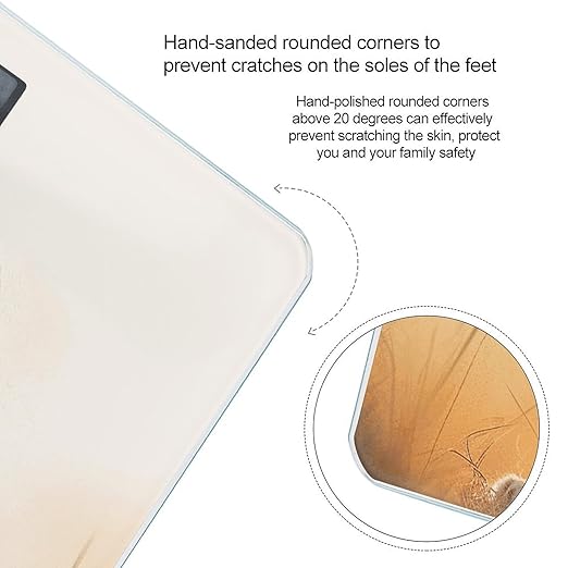 Small Lion Scale for Body Weight Anti-Slip Tempered Glass Digital Bathroom Scales Clear LCD Display Weighing Scale Safe Rounded Corners Smart Scales