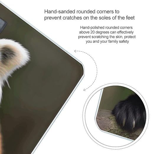 Animal Red Panda Scale for Body Weight Sturdy Tempered Glass Weighing Scales with LCD Display Accurate Digital Bathroom Scale Convenient Body Fat Smart Scales 400lb