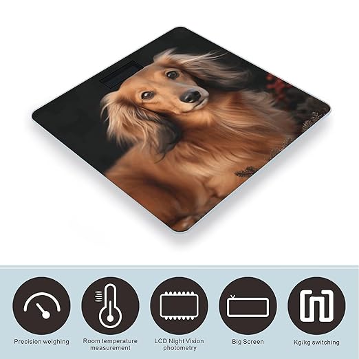 Long Haired Dachshund Digital Bathroom Scale for Body Weight with High Precision Digital Weighing Scale with BMI Clear LCD Display and Step-On Measures Weight Up to 180kg