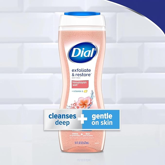 Dial Body Wash Himalayan Salt 16 Ounce Enriching (473ml) (Pack of 6)