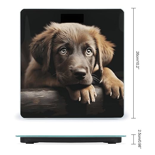 Puppies Dog Bathroom Scale for Body Weight Bathroom Weighing Scale with Backlit LCD Display Highly Accurate Measures Weight Up to 180kg