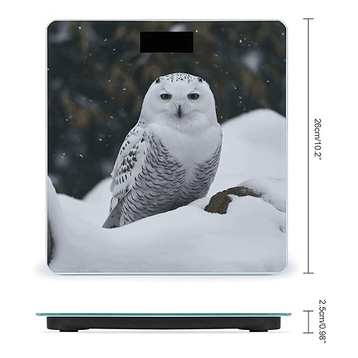 Snow Owl Bathroom Scale Large LCD Backlight Display Digital Scale Rounded Corners Body Scales Automatic Power On/Off Bathroom Scales for Home Bedrooms