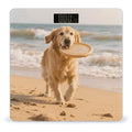 Golden Retriever Dog Weight Scale Cute Bathroom Scale for Body Highly Accurate Digital Weighing Machine for People Compact LCD Display Scales with Sturdy Toughened Glass Scales