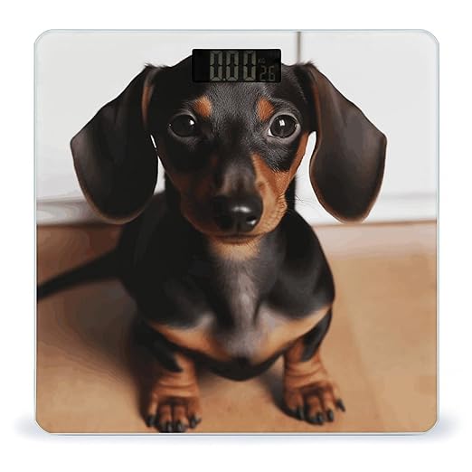 Cute Wiener Sausage Dog Bathroom Scale Automatic Power On/Off Body Scales LCD Backlight Display Square Digital Scale Rounded Corners Bathroom Scales for Home Bedrooms