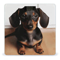 Cute Wiener Sausage Dog Bathroom Scale Automatic Power On/Off Body Scales LCD Backlight Display Square Digital Scale Rounded Corners Bathroom Scales for Home Bedrooms
