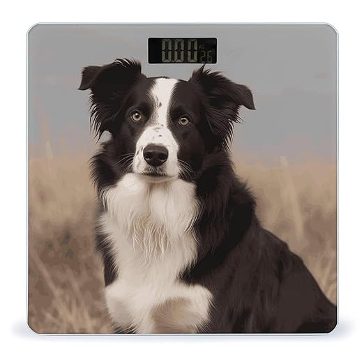 Border Collie Weight Scale Large Bathroom Scales Digital Weight with Bright LED Display Non Slip Automatic Weighing Scale Fashion Weighing Machine for Body