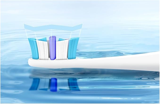 Compatible for Seago Electric Toothbrush Heads 12 PCS for Adults 5 C027(SG-C027-12PCS Blue)