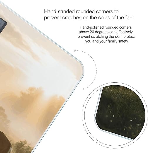 Deer Grass Hunting Scale for Body Weight Sturdy Tempered Glass Weighing Scales with LCD Display Accurate Digital Bathroom Scale Convenient Body Fat Smart Scales Easy Read