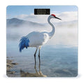 Blue White Crane Smart Scale for Body Weight Digital Bathroom Scale Toughened Glass Weight Scale with Large LCD Backlight Display High Precision Scales Weighing Machine