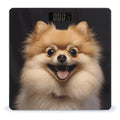 Happy Short Haired Pomeranian Bathroom Scale Automatic Power On/Off Body Scales LCD Backlight Display Square Digital Scale Rounded Corners Bathroom Scales for Home Bedrooms