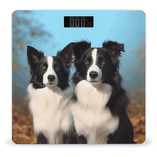 Border Collie Scale for Body Weight Safe Rounded Corners Tempered Glass Digital Bathroom Scale LED Display 400lb Capacity Weight Scales with High Precision Sensors