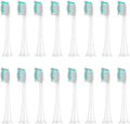 Replacement Brush Heads Compatible for HX3/HX6/HX9 Series Electric Toothbrush HX6064(16Pcs White)
