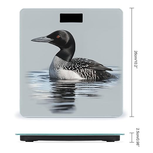 Loon Nature BirdScale for Body Weight with LCD High Precision Weighing Scales Fashion Sturdy Tempered Glass Weight Scales Easy-to-Read Digital Bathroom Scale for Daily 400lb