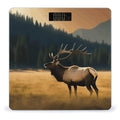 Elk in The Meadow Scale for Body Weight High Precision Digital Weight Scales with LCD Display Anti-Slip Sturdy Slim Tempered Glass Bathroom Scale for Home Use