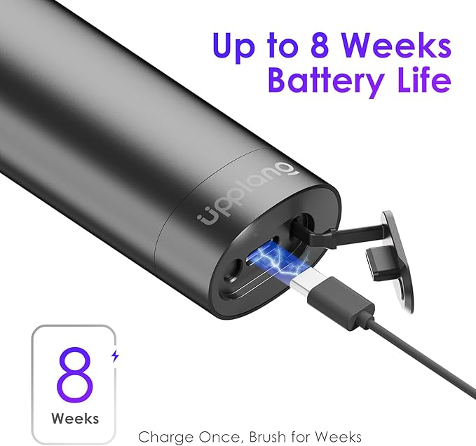 Electric Toothbrush Portable Travel Sonic Toothbrush with Protective Case USB-C Rechargeable Neutral Comfort Bristles Waterproof Smart Timer Compact for Daily Use (Slate Gray)