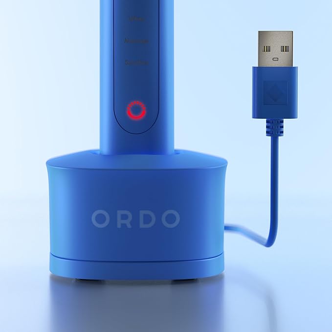 ORDO Sonic+ Electric Toothbrush with Case Sonic Toothbrushes for Adults Charging Travel Case 4 Brushing Modes Fast Rechargeable Battery Silicone Polishing USB Charger Arctic Blue