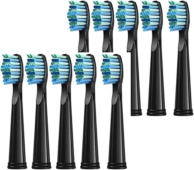 Replacement Toothbrush Heads Compatible for Seago SG-575/507B/551/958/908/909/917/610/659/719/910/548 Electric Toothbrush(Black 10pcs)