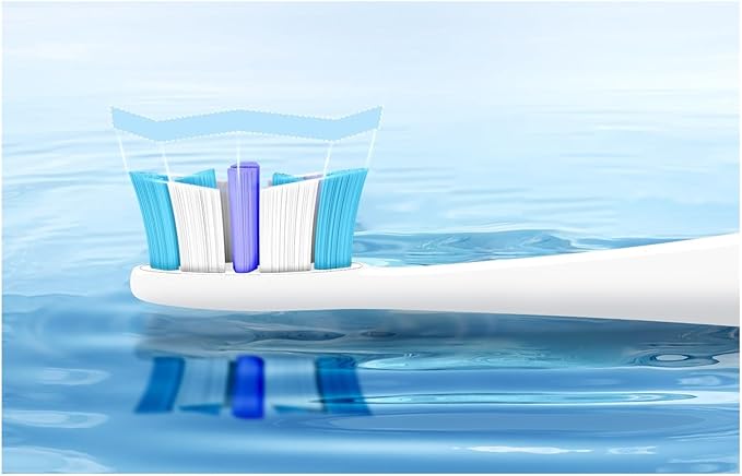 Compatible for Seago Electric Toothbrush Heads 12 PCS IPX7 Waterproof with Holder C027(SG-C027-12PCS Black)