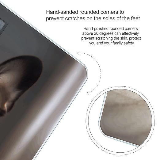 Cute Boston Terrier Bathroom Scale Large LCD Backlight Display Digital Scale Rounded Corners Body Scales Automatic Power On/Off Bathroom Scales for Home Bedrooms
