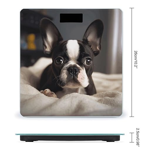 Cute Boston Terrier Bathroom Scale Large LCD Backlight Display Digital Scale Rounded Corners Body Scales Automatic Power On/Off Bathroom Scales for Home Bedrooms