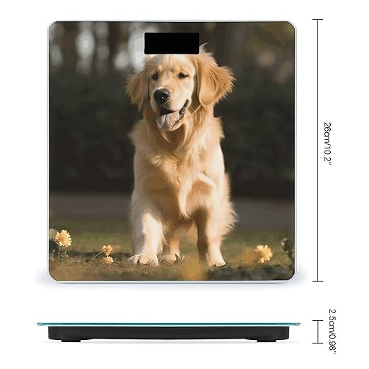 Golden Retriever Dog Scale for Body Weight Highly Accurate Digital Bathroom Scale Sturdy Tempered Glass Weighing Scales with LCD Display Fashion Body Fat Smart Scales 400lb