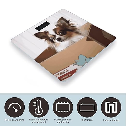 Papillon in The Box Bathroom ScaleHighly Accurate Digital Weighing Machine for People Bright LED Display Weight Scale for The Aldult Home Use