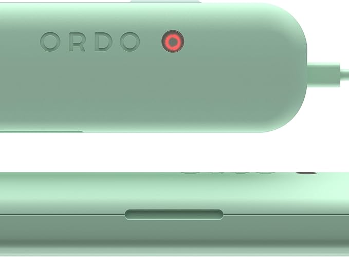 ORDO Sonic+ Electric Toothbrush with Case Sonic Toothbrushes for Adults Charging Travel Case 4 Brushing Modes Fast Rechargeable Battery Silicone Polishing USB Charger Mint Green