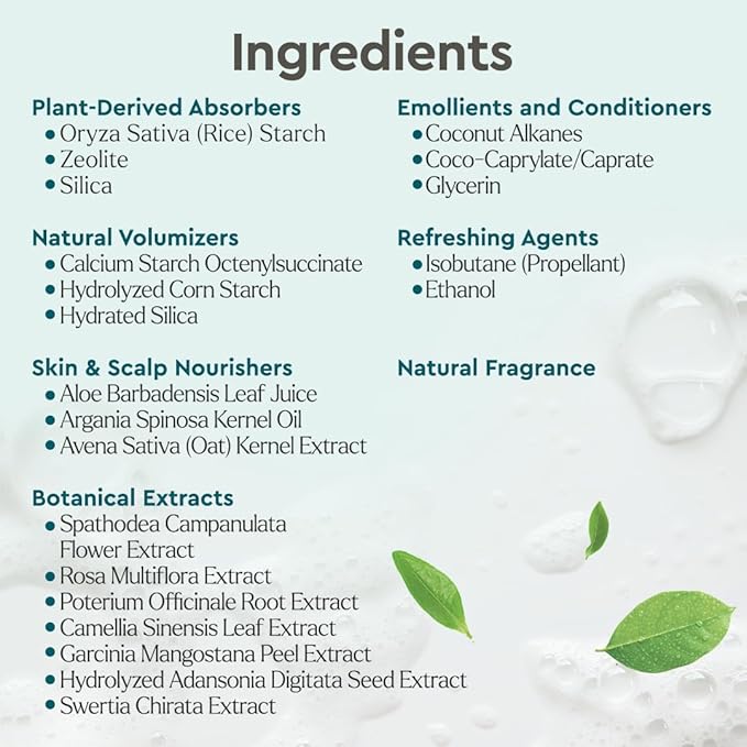 Puracy Natural Body Wash Refill 98.6% Pure Plant Ingredients Shower Gel (Citrus &amp Sea Salt 48 oz) Natural Dry Shampoo for Women Plant-Powered Cleansing Volumizing Dry Shampoo (Citrus &amp Jasmi