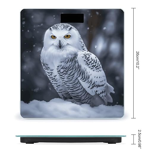 Arctic Owl Bathroom Scale Large LCD Backlight Display Digital Scale Rounded Corners Body Scales Automatic Power On/Off Bathroom Scales for Home Bedrooms
