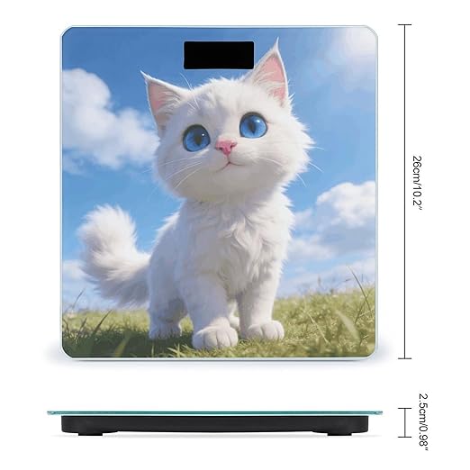 Blue-Eyed Snowball Smart Scale for Body Weight Digital Bathroom Scale Toughened Glass Weight Scale with Large LCD Backlight Display High Precision Scales Weighing Machine