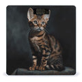 Bengal Cat Bathroom Scale Large LCD Backlight Display Digital Scale Rounded Corners Body Scales Automatic Power On/Off Bathroom Scales for Home Bedrooms