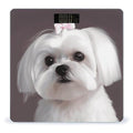 Lovely Maltese DogScale for Body Weight with LCD High Precision Weighing Scales Fashion Sturdy Tempered Glass Weight Scales Easy-to-Read Digital Bathroom Scale for Daily 400lb