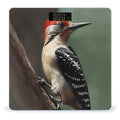 Woodpecker Bathroom Scale Large LCD Backlight Display Digital Scale Rounded Corners Body Scales Automatic Power On/Off Bathroom Scales for Home Bedrooms